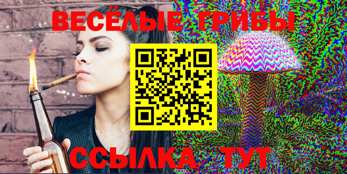 Псилоцибиновые грибы Magic Shrooms  Вход с VPN  Псилоцибиновые грибы мухоморы  где купить наркотик  Качканар 