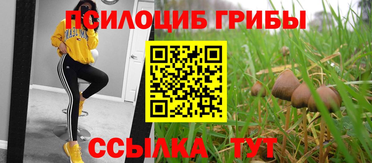 Псилоцибиновые грибы MAGIC MUSHROOMS Качканар